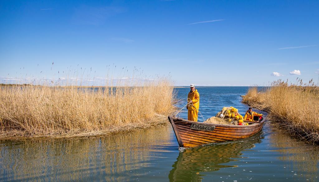Kassariotsa Holiday House Екстериор снимка